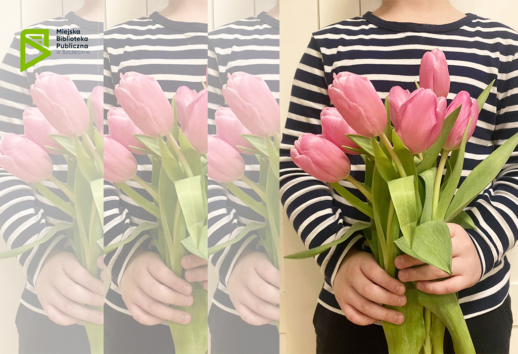 bukiet tulipanów trzymany przez dziecko
