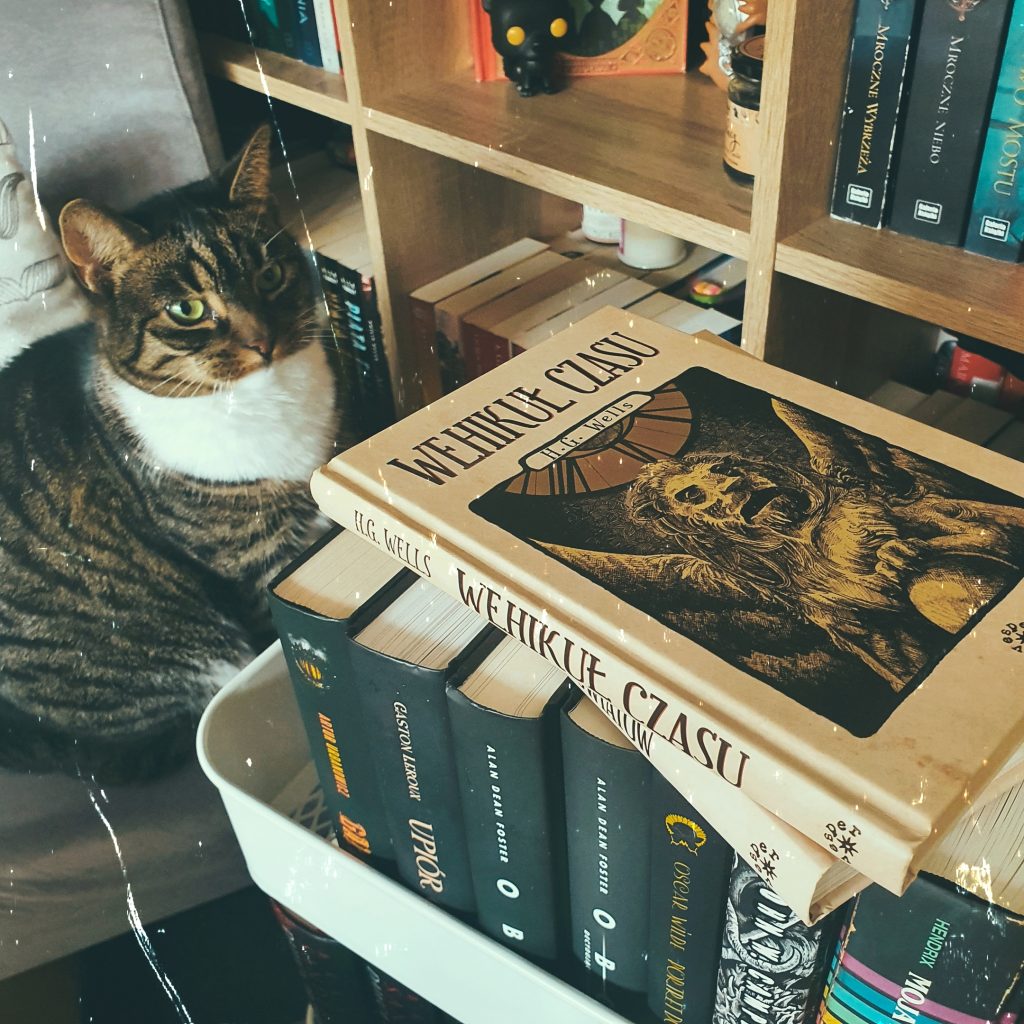 książka "Wehikuł czasu" na tle biblioteczki, obok niej kot